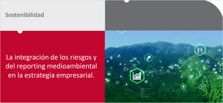  La integración de los riesgos y del reporting medioambiental en la estrategia empresarial
